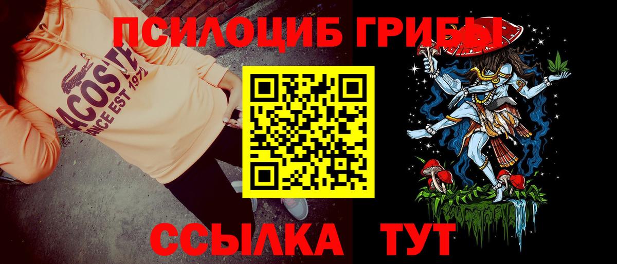Галлюциногенные грибы Psilocybine cubensis  Вход с VPN  Галлюциногенные грибы Magic Shrooms  Прокопьевск 