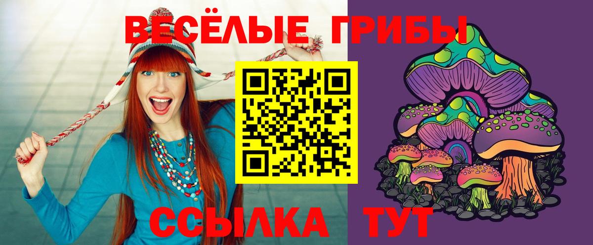 Галлюциногенные грибы GOLDEN TEACHER Прокопьевск